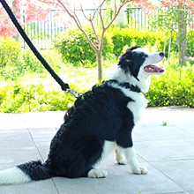 Wędrówka 7 splotów Spadochron 550 Lina Paracord 100 Ft 2